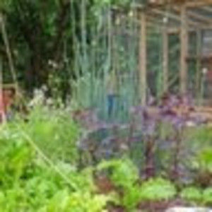 Meet your Posher, Candice